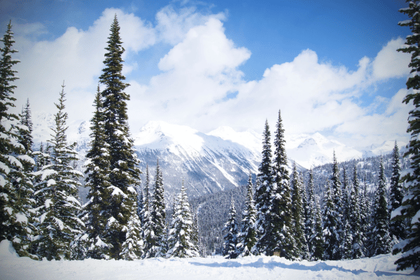 Whistler